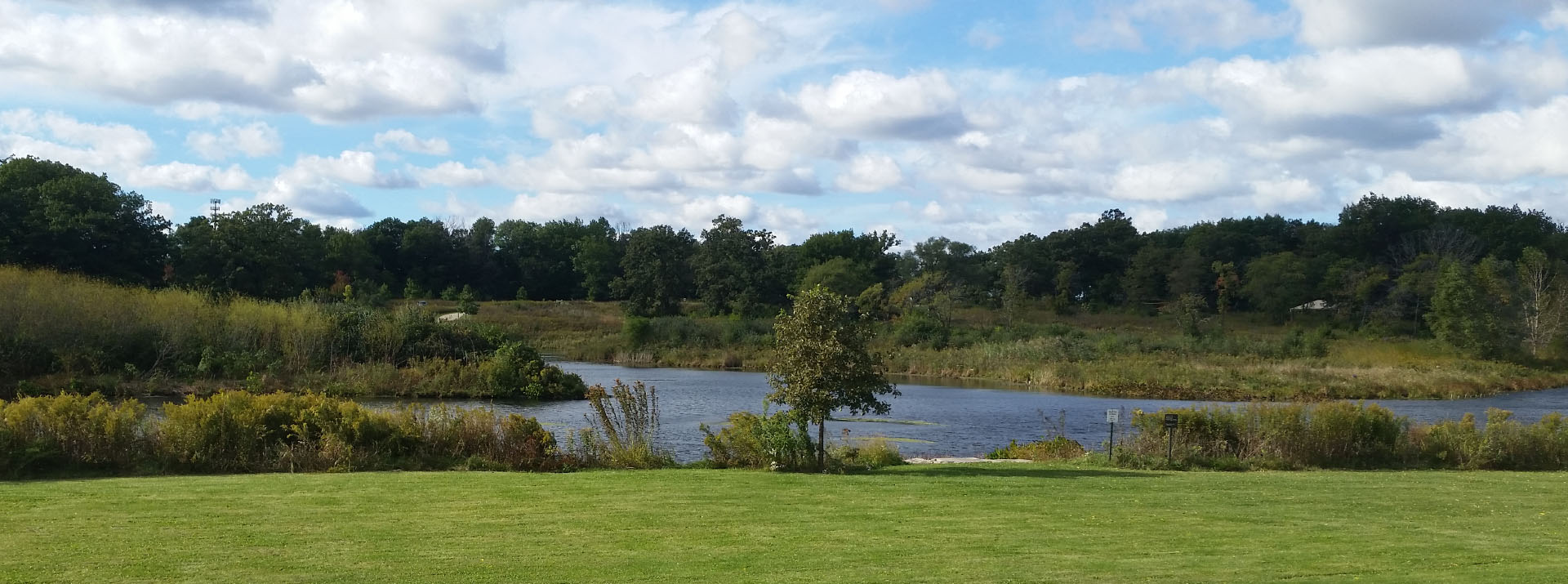 Lake surrounded by trees